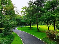 -新江湾城公园