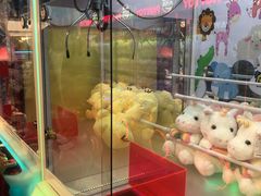 -PAWTOY爪e玩偶店(天兴罗斯福店)