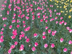 -长春公园(普阳街道)