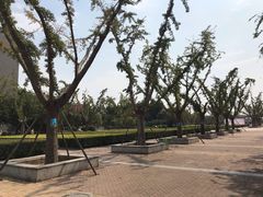 -河南财经政法大学(郑东校区)