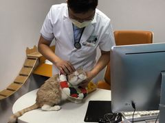 -联合动物医院(光谷诊疗中心)