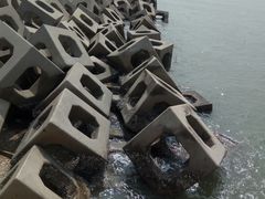 -东疆建设开发纪念公园
