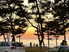 -威海国际海水浴场旅游区