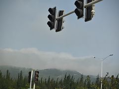 -阿弟特色海鲜餐厅·大排档(平潭店)