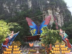 -东莞植物园