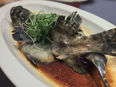 -顺峰(农展馆店)