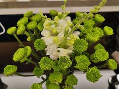-双季花艺园艺市场(浦东店)