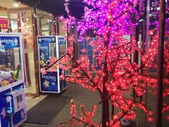 -嘉瑞超市(林芝新区店)