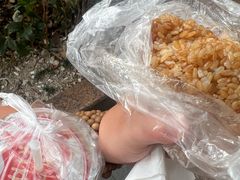 -六广门毛阿姨糯米饭