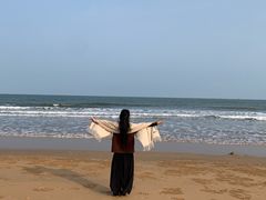 -日照海滨国家森林公园