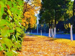 -锦月楼百姓厨房(大箕山商业广场店)