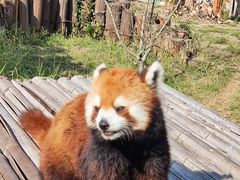 -泉州海丝野生动物世界