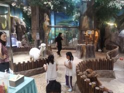 -宝燕乐园(闵行旗舰店)