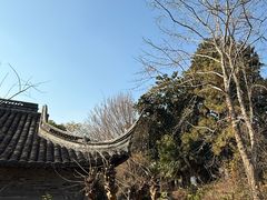 -梅园