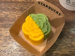 -星巴克臻选(思南公馆店)