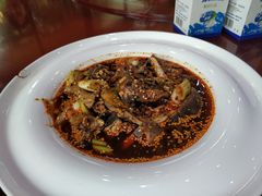 -洪湖家庭农场·团建·露营·会议