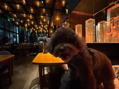 -THE CANNERY&JUJU 新鲜海鲜·牛排美食酒廊