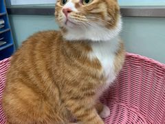 -纳吉亚猫专科动物医院博雅分院