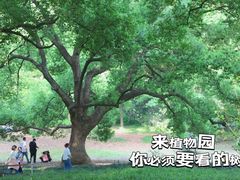 -杭州植物园