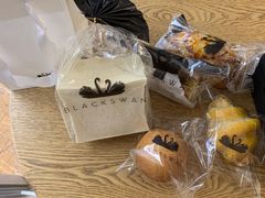 -BLACKSWAN黑天鹅(环球店)