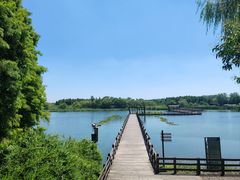 -溱湖国家湿地公园