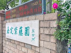 -嘉定紫藤园