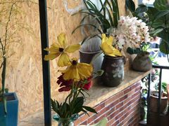 -The Flowers Coffee(南山店)