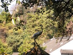 -杭州黄龙洞