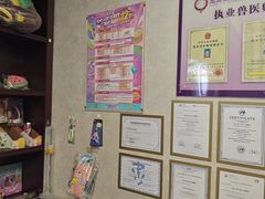 -宠爱国际动物医院·疑难骨科·心肾内科·皮肤科(太阳宫店)