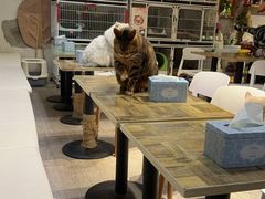 -小时光咖啡馆(北锣鼓巷店)