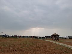 -空港花田景区