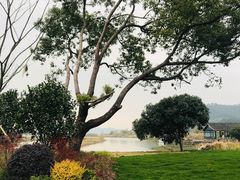 -东钱湖旅游度假区