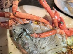 -The Cheebat 锌吧·Bistro(体育西店)