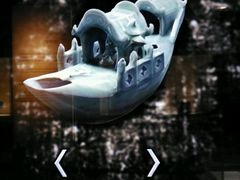 android_upload_pic-浙江省博物馆(孤山馆区)