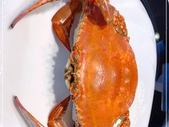-鲜鲜·鲅鱼圈海鲜(于洪店)