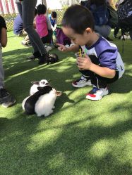 -萌宠亲子动物乐园(槐房万达店)