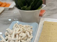-友谊肥牛