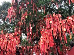-国恩寺