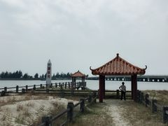 -东郊椰林