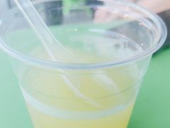 -萨朗刀克冰淇淋雪花凉(植物园店)