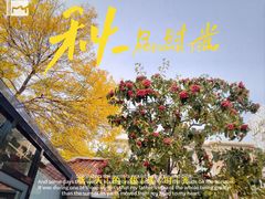-天津五大道文化旅游区