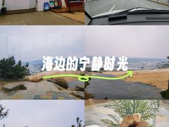 -海岛日记(养马岛店)