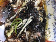 -鑫农家大院(余家头店)