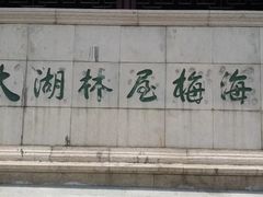 -林屋梅海青梅保护基地