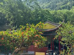 -华清宫景区