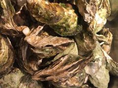 生蚝-泉州富力万达文华酒店·美食汇自助餐厅