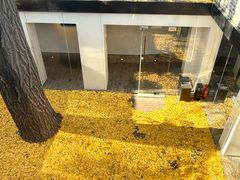 -自如ZSPACE四合院艺术餐厅