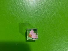 -鹏欣水游城