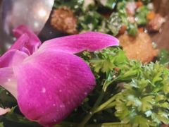 大理风味葱椒鸡-花马天堂云南餐厅 Lost Heaven(外滩店)
