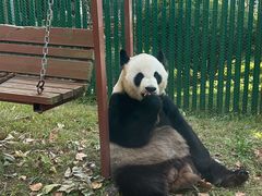 -大连森林动物园